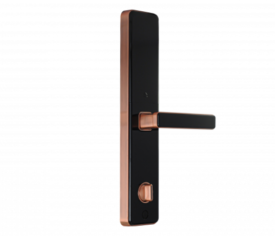 Khóa cửa thông minh INNOVITI-S